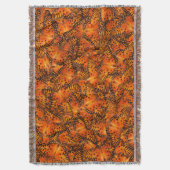 Golffritille oder Passionsschmetterlinge, orange Decke (Vorderseite Vertikal)