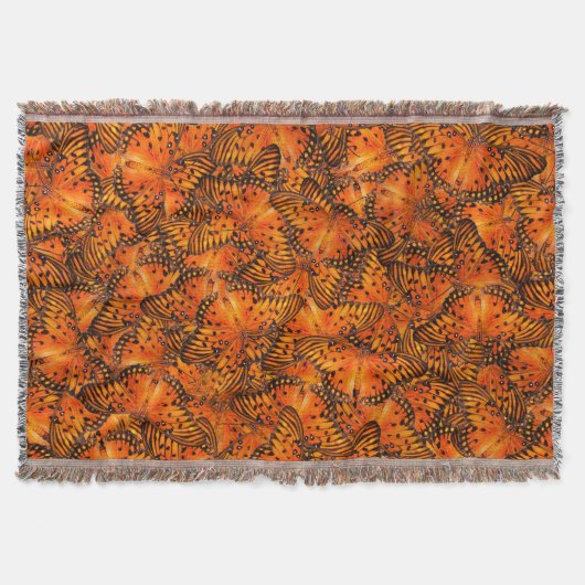 Golffritille oder Passionsschmetterlinge, orange Decke (Vorderseite)