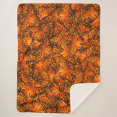 Golffritille oder Passionsschmetterlinge, orange Sherpadecke (Vorderseite)