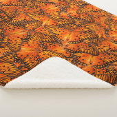 Golffritille oder Passionsschmetterlinge, orange Sherpadecke (3/4)