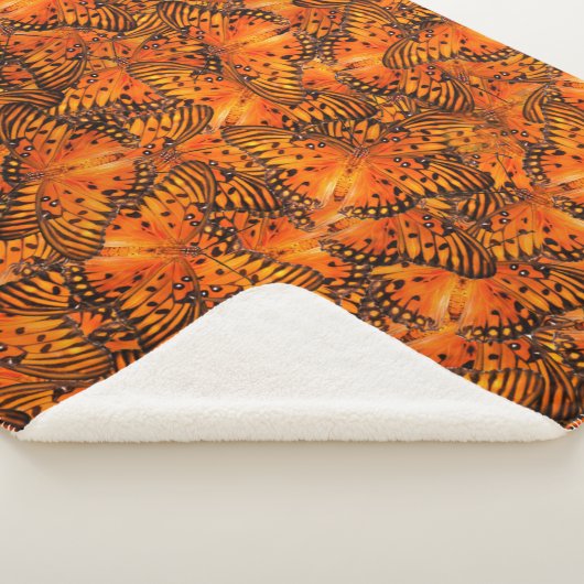 Golffritille oder Passionsschmetterlinge, orange Sherpadecke (3/4)