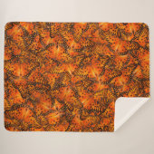 Golffritille oder Passionsschmetterlinge, orange Sherpadecke (Vorderseite (Horizontal))