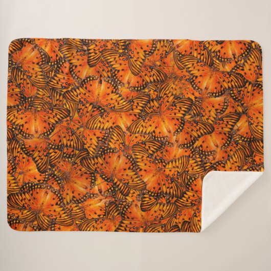 Golffritille oder Passionsschmetterlinge, orange Sherpadecke (Vorderseite (Horizontal))