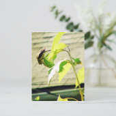 Golfinch und Sonnenblumen Postkarte (Stehend Vorderseite)