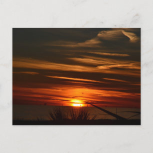Golfküstenplantation Postkarte