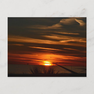 Golfküstenplantation Postkarte