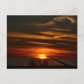 Golfküstenplantation Postkarte (Vorderseite)