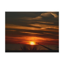 Golfküstenplantation