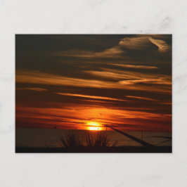 Golfküstenplantation Postkarte