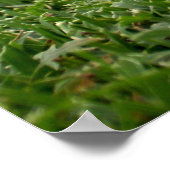 Golfplakat Poster (Ecke)