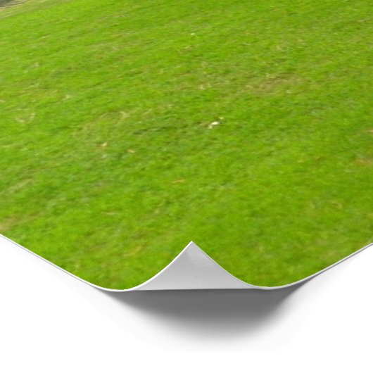 Golfplatz Fairway Poster (Ecke)