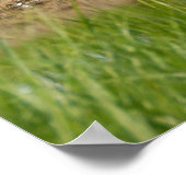 Golfplatz Florida Poster (Ecke)