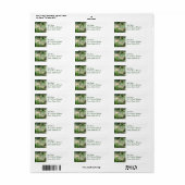 Golfplatz in Tropics Mailing Labels (Vorne)