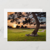 Golfplatz Sunset Postkarte (Vorne/Hinten)