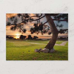 Golfplatz Sunset Postkarte