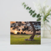 Golfplatz Sunset Postkarte (Stehend Vorderseite)