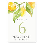 GOLFTISCH MIT GREEN WASSERFARBEN, OLIVENGOLFTISCH TISCHNUMMER (Rückseite)