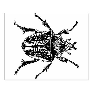 Goliath Beetle Gummistempel