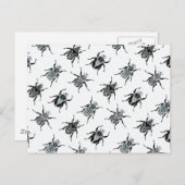 Goliath Beetles Postkarte (Vorne/Hinten)