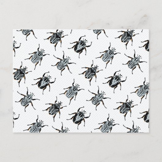 Goliath Beetles Postkarte (Vorderseite)