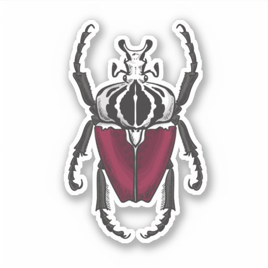 Goliath-Käfer Aufkleber (Vorderseite)