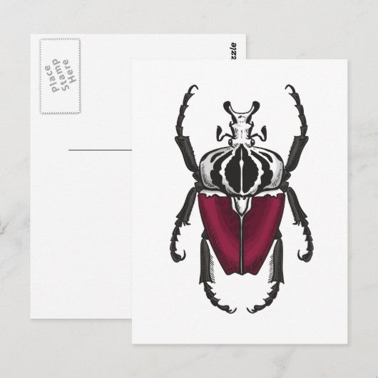 Goliath-Käfer Postkarte (Vorne/Hinten)