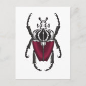 Goliath-Käfer Postkarte (Vorderseite)