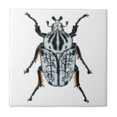 Goliath-Käfer (Single) Fliese (Vorderseite)
