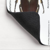 Goliath mousepad (Ecke)