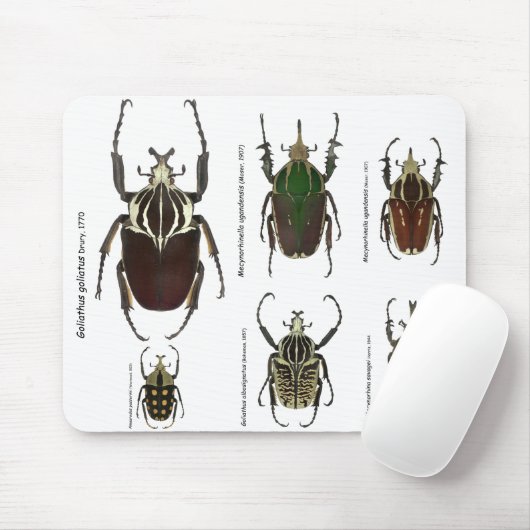 Goliath mousepad (Mit Mouse)