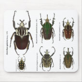 Goliath mousepad (Vorne)