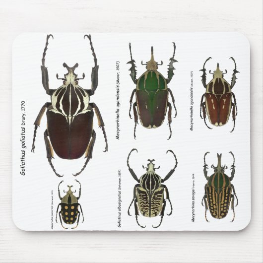 Goliath mousepad (Vorne)