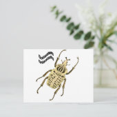 Goliathus orientalis postkarte (Stehend Vorderseite)