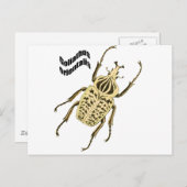 Goliathus orientalis postkarte (Vorne/Hinten)