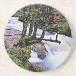 Golitha Fälle, Blumen Cornwalls, England Getränkeuntersetzer