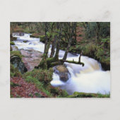 Golitha Falls, Cornwall, England am Cornish Ri Postkarte (Vorderseite)