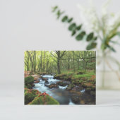 Golitha Falls Postkarte (Stehend Vorderseite)