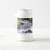 Golitha Falls River Fowey Cornwall England Bierglas (Vorderseite Links)