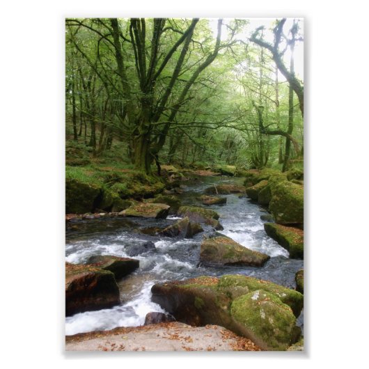 Golitha Falls River Fowey Cornwall England Fotodruck (Vorne)