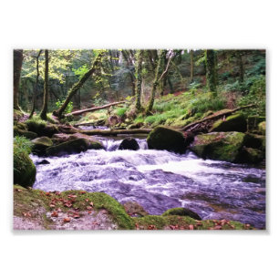 Golitha Falls River Fowey Cornwall England Fotodruck