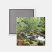 Golitha Falls River Fowey Cornwall England Magnet (Vorderseite/Rückseite)