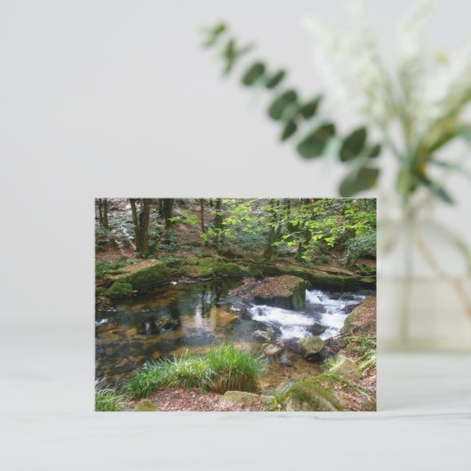 Golitha Falls River Fowey Cornwall England Postkarte (Stehend Vorderseite)