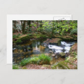 Golitha Falls River Fowey Cornwall England Postkarte (Vorne/Hinten)