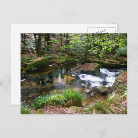 Golitha Falls River Fowey Cornwall England Postkarte (Vorne/Hinten)