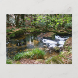 Golitha Falls River Fowey Cornwall England Postkarte