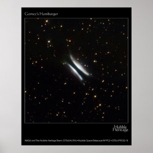 Gomez's Hamburgers Hubble Telescope-Foto Poster