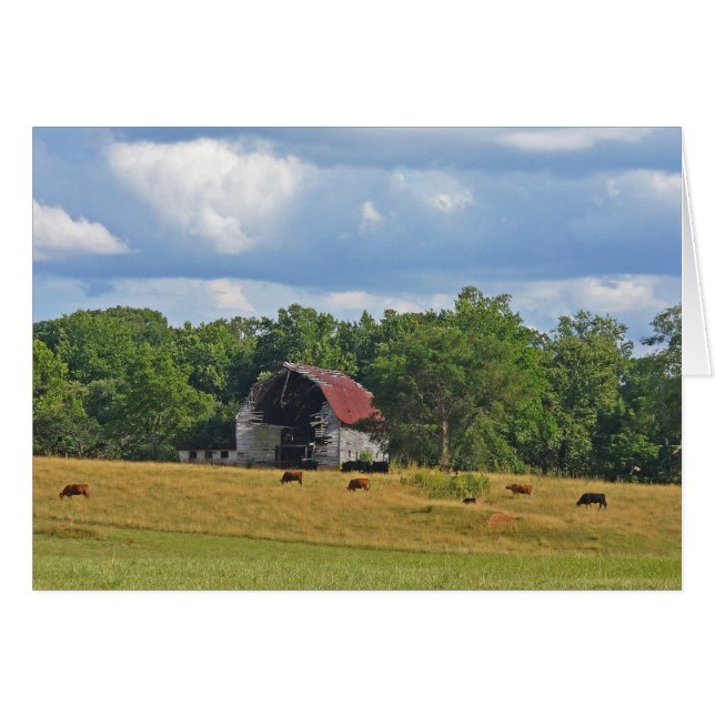 Gone, aber nicht vergessen (Vorderseite (Horizontal))