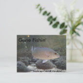Gone Fishin' auf Assateague Island, MD Postkarte (Stehend Vorderseite)