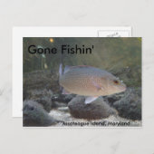 Gone Fishin' auf Assateague Island, MD Postkarte (Vorne/Hinten)