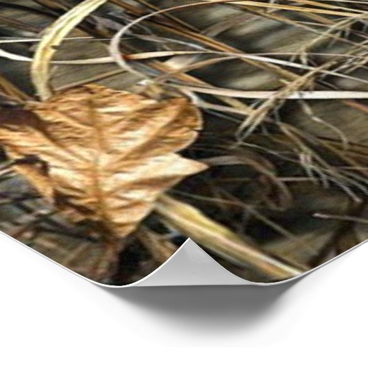 Gone Fishing Poster (Ecke)